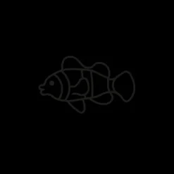 PAUL HEWITT Tattoo Small | Tattoo Small>Clownfish Tattoo