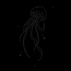 PAUL HEWITT Tattoo Medium | Tattoo Medium>Jellyfish Tattoo