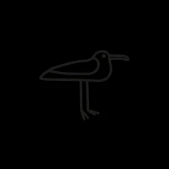 PAUL HEWITT Tattoo Small | Tattoo Small>Men's Seagull Tattoo