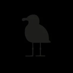PAUL HEWITT Tattoo Small | Tattoo Small>Men's Seagull Tattoo
