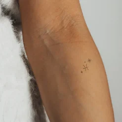 PAUL HEWITT Tattoo Small | Tattoo Small>Pisces Tattoo