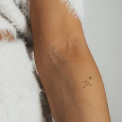 PAUL HEWITT Tattoo Small | Tattoo Small>Scorpio Tattoo