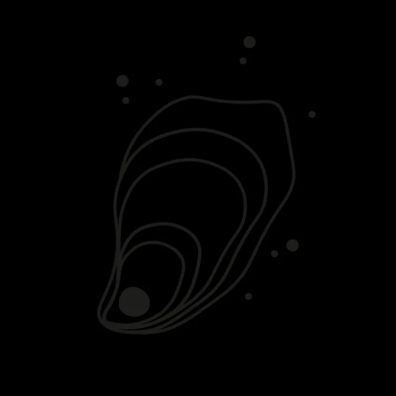 PAUL HEWITT Tattoo Medium | Tattoo Medium>Shell Tattoo