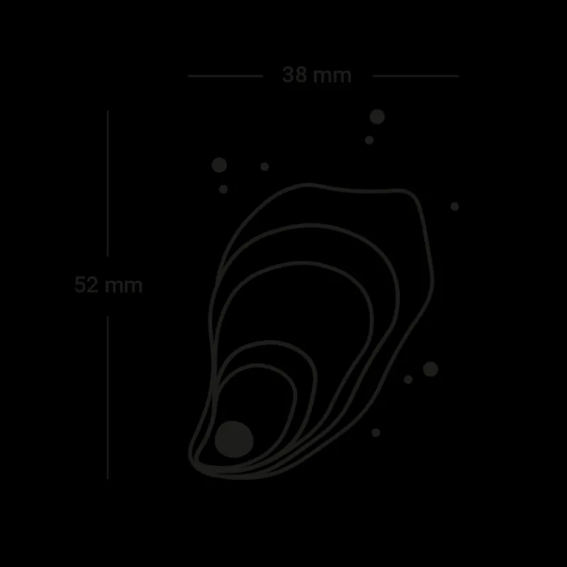 PAUL HEWITT Tattoo Medium | Tattoo Medium>Shell Tattoo