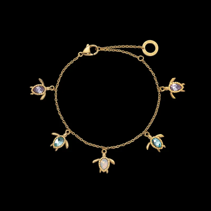PAUL HEWITT Armbänder Mit Steinen | Armschmuck>Turtle Rainbow Armkette