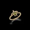 PAUL HEWITT Ringe>Turtle Ring