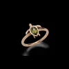 PAUL HEWITT Ringe>Turtle Ring