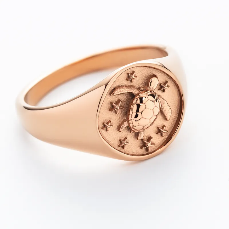 PAUL HEWITT Ringe>Turtle Signet Ring