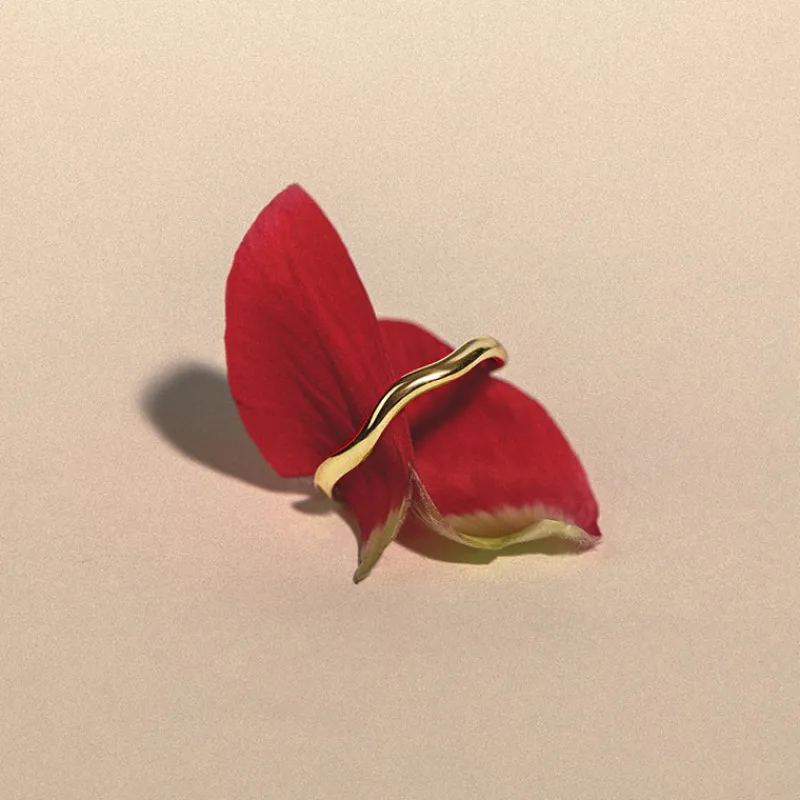 PAUL HEWITT Ringe>Waves Mono Ring