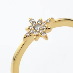 PAUL HEWITT Ringe>Windrose Mono Ring