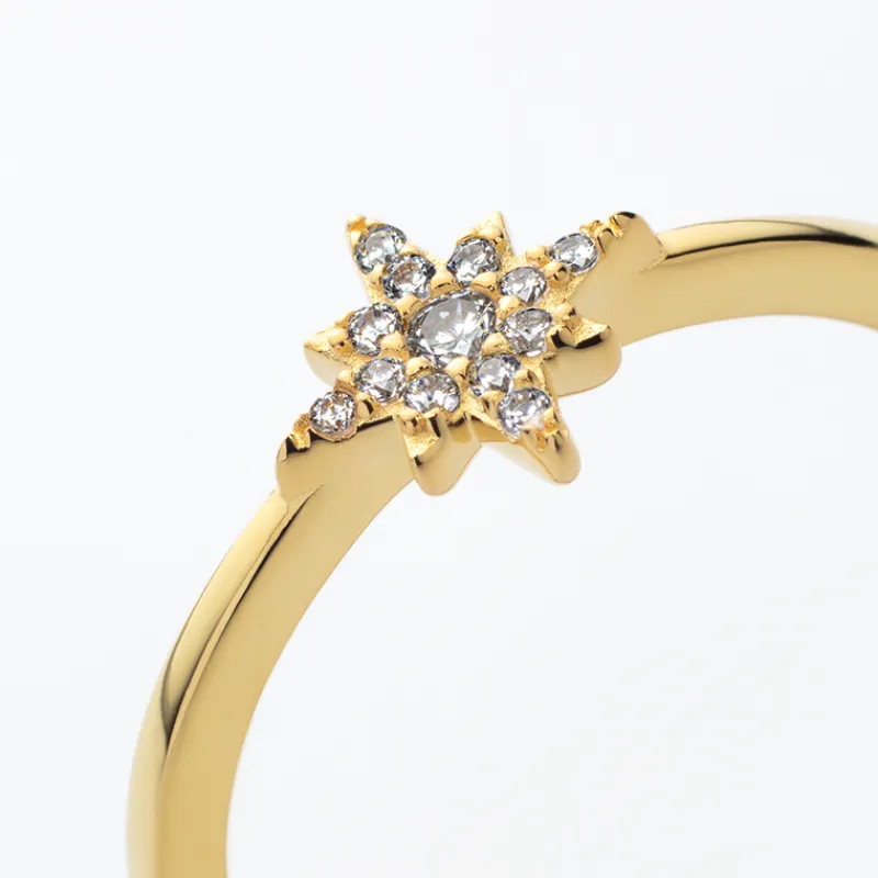 PAUL HEWITT Ringe>Windrose Mono Ring