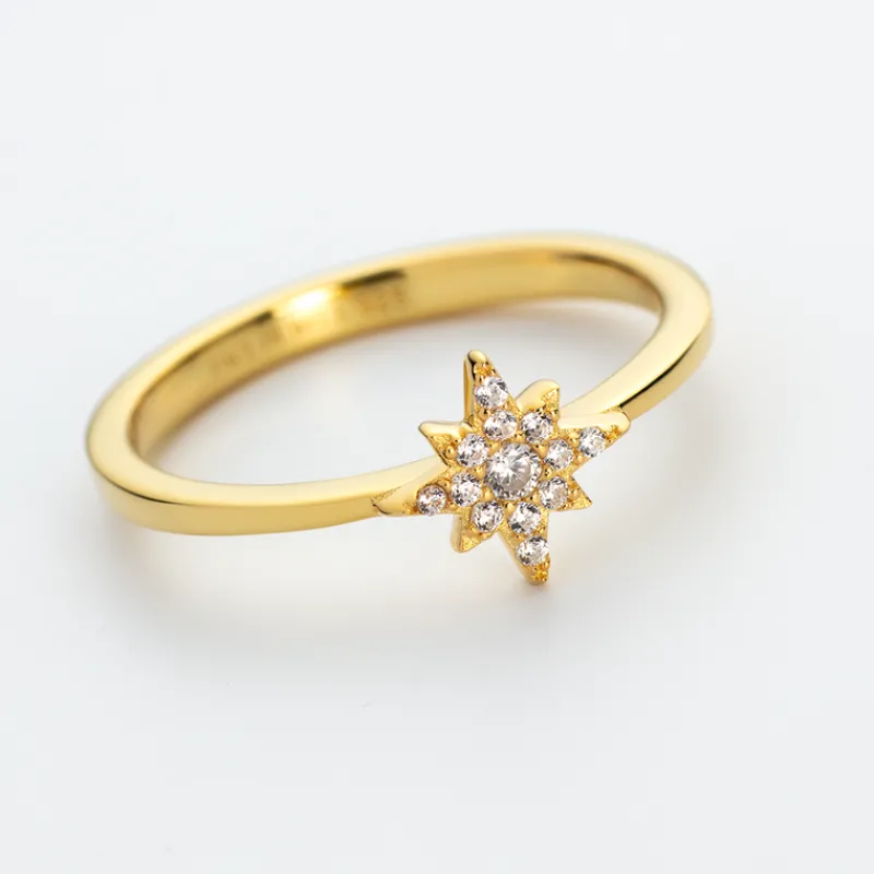 PAUL HEWITT Ringe>Windrose Mono Ring
